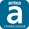 Antea Trabajador