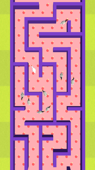 Maze Race X screenshot 4