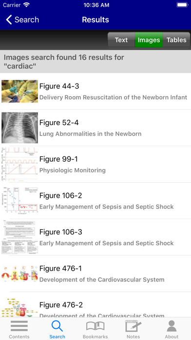 Rudolph's Pediatrics, 23/E screenshot