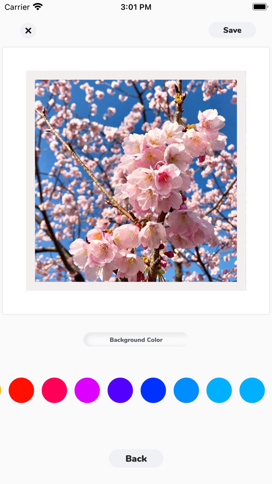#3. Framed Photos (iOS) 由: T-Logic