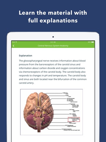 Neurology Exam Review Q&Aのおすすめ画像3