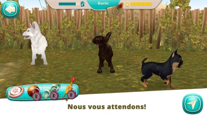 Screenshot #3 pour DogHotel jouer avec des chiens