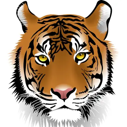 Animal Faces - Heads Camera Читы