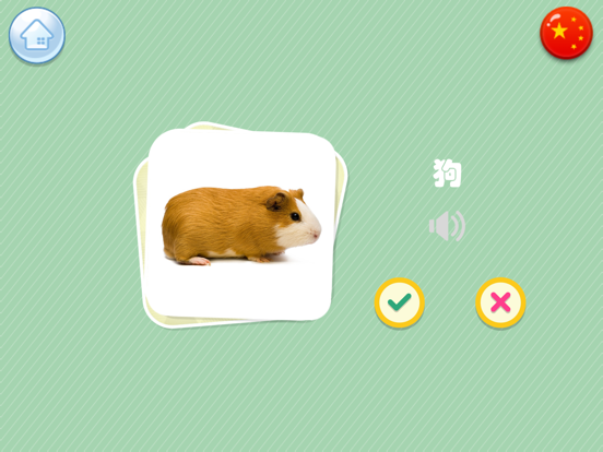 看视频认动物-认交通工具学英语软件 iPad screenshot 1 - Education app