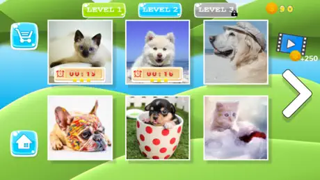 Puzzle Pets Dogs Cats Game