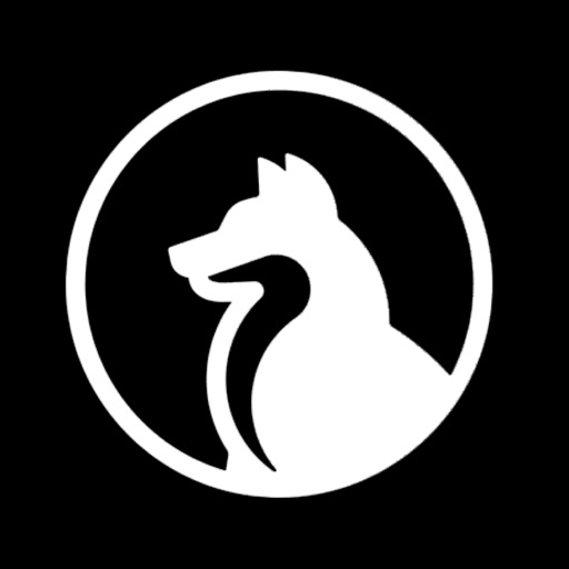 Dogecoin by Hundred Spires iOS App