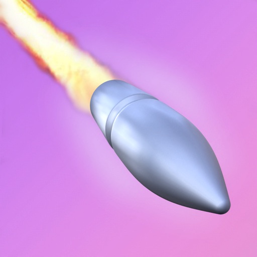 Bullet Fly 3D icon