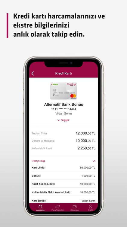 Alternatif Bank Corporate screenshot-3