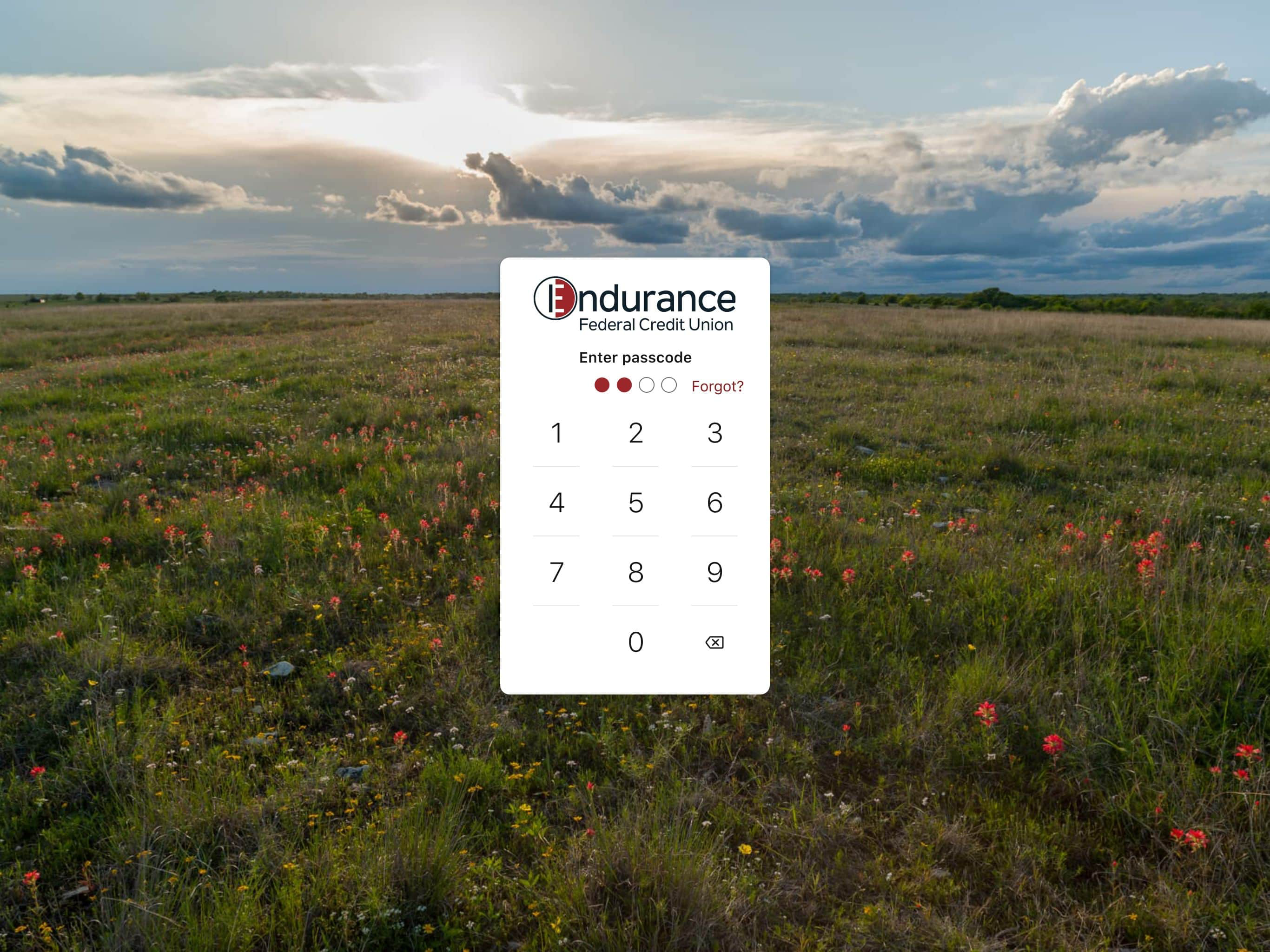 Endurance FCU Mobile