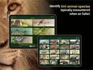 The Golden Safari Guide ipad bilder 1