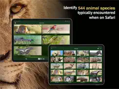 The Golden Safari Guide iPad image 2