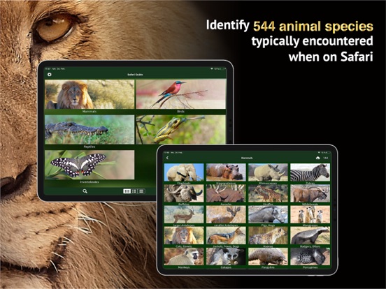 Screenshot #5 pour The Golden Safari Guide