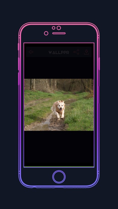 WALLPPR - HD & 4K Wallpapers Screenshot