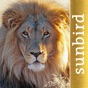 The Golden Safari Guide app download
