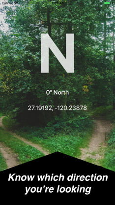 Virtual Compass º screenshot 1