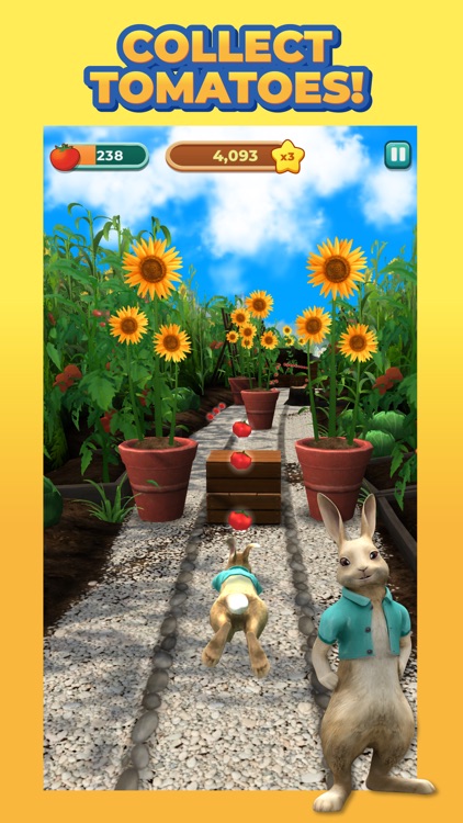 Peter Rabbit Run!