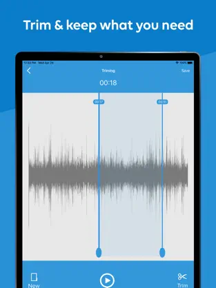 Imágen 2 Voice Record. iphone