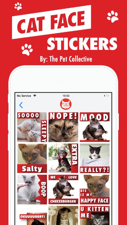 Cat Face Stickers
