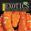 Ultimate Exotics Magazine contact information
