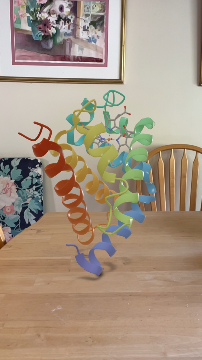 MolAR Augmented Reality