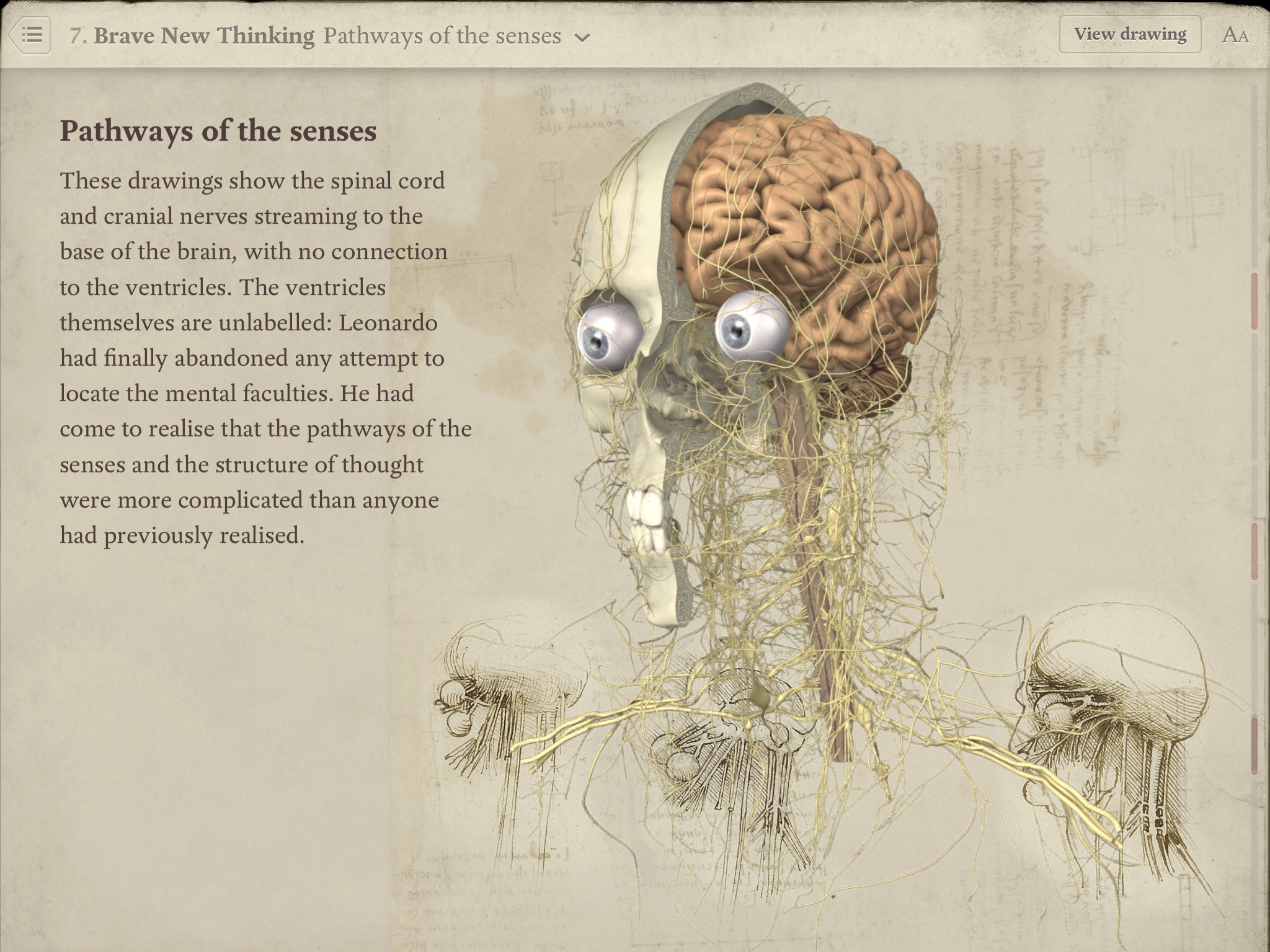 Leonardo da Vinci: Anatomy screenshot 4