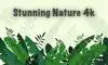 Stunning Nature : 4K Wallpaper problems & troubleshooting and solutions