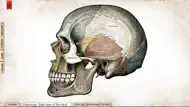 Grays Anatomy Premium Edition iphone resimleri 2