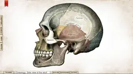 grays anatomy premium edition iphone resimleri 2