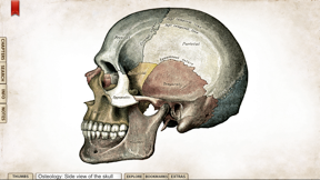 Grays Anatomy Premium Edition screenshot