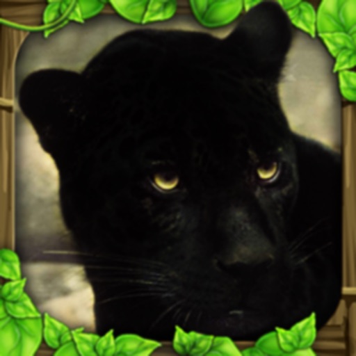 Panther Simulator iOS App