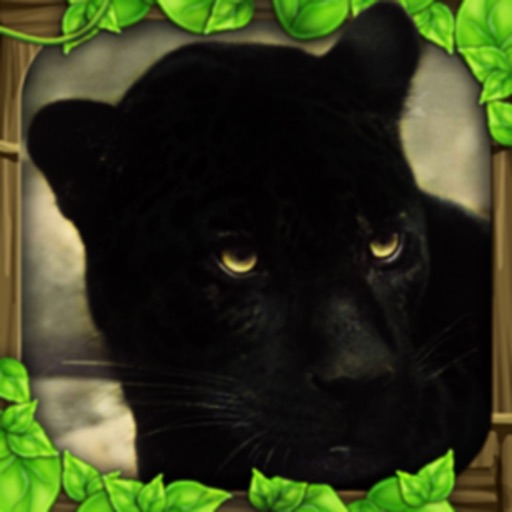 Panther Simulator Icon