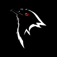 Koel Player на пк