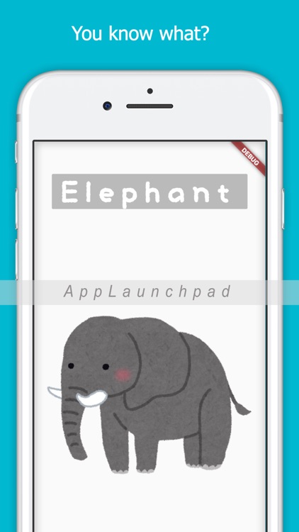 What Is An Animal ?