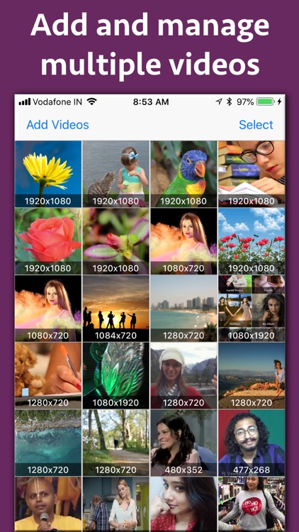 Video Clipper and Cutter