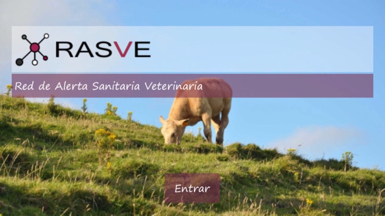 Rasve screenshot-3