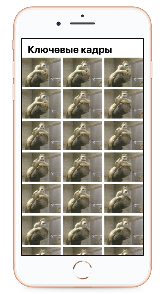 #6. VideoFrame screenshots & poses (iOS) 由: Aleksey Kuznetsov