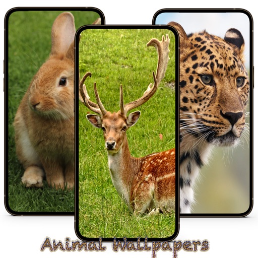 10000 Animal Wallpapers iOS App