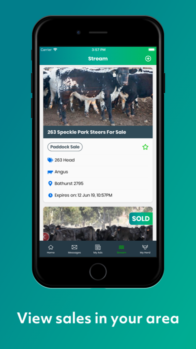 The Herd Screenshot