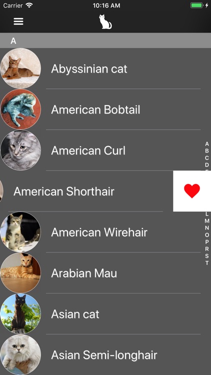 Cats 2.0 screenshot-4
