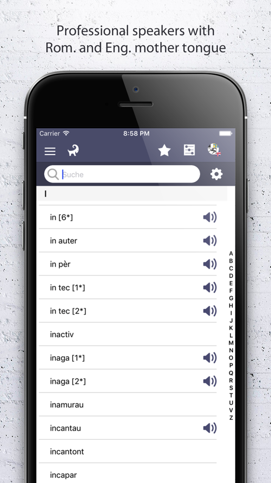 #4. Dictionary Romansh English (iOS) 由: Walter Degonda