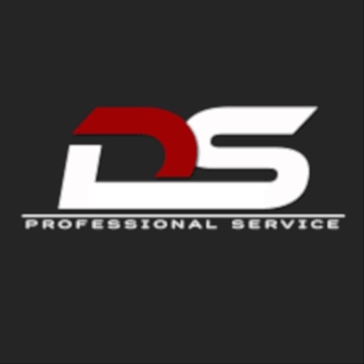 Ds professional icon