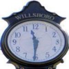 WillsboroNOW icon