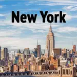 Explore NYC App Positive Reviews