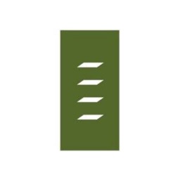 Managed Services Inc