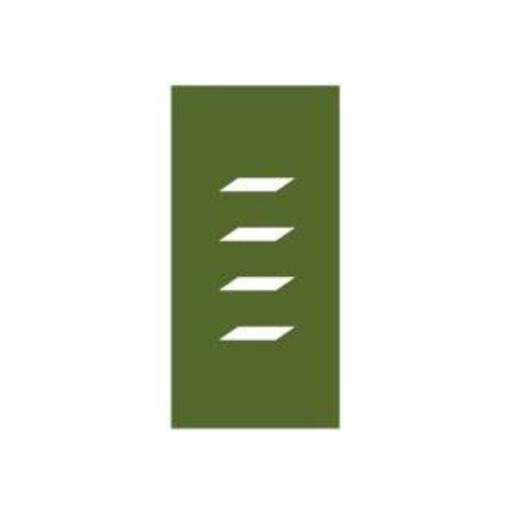 Managed Services Inc