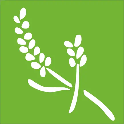 Guia de Aromaterapia Cheats