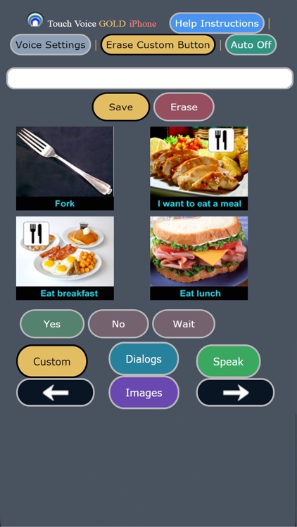 Touch Voice Gold AAC