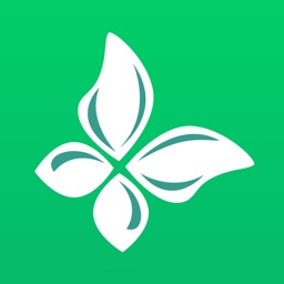 Butterflies of Europe