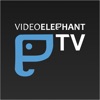 VideoElephant TV icon