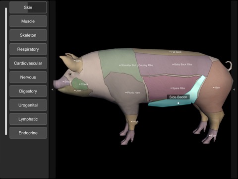 3D Pig Anatomyのおすすめ画像5